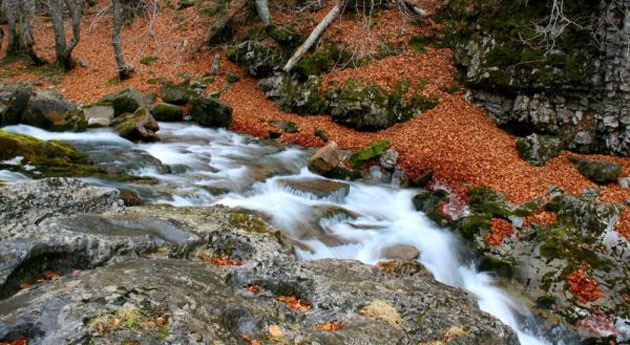 modificación DPH perjudica al caudal ecológico ríos, asociaciones ecologistas