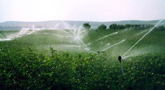 agricultores cuenca Guadiana se encuentran difícil situación "tarifazo" impuesto