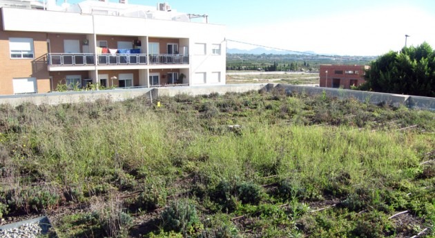 cubiertas vegetadas son buena medida adaptaciÃ³n al cambio climÃ¡tico MediterrÃ¡neo
