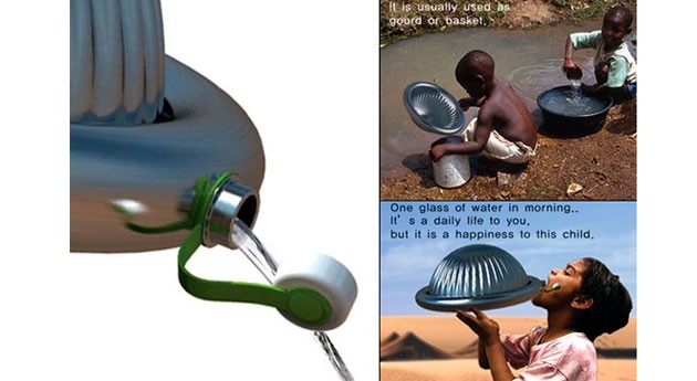 Lagartos, escarabajos y plantas tienen solución problemas agua mundo