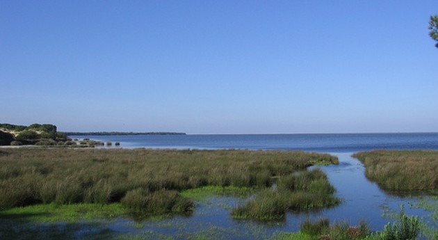 acuífero Doñana no se declarará sobreexplotado momento