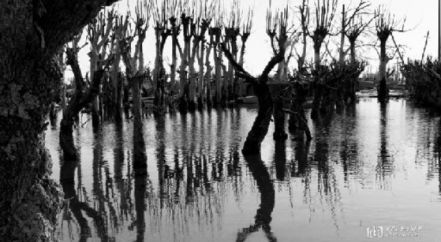 agua sepulta pueblo, que después vuelve emerger: Villa Epecuén