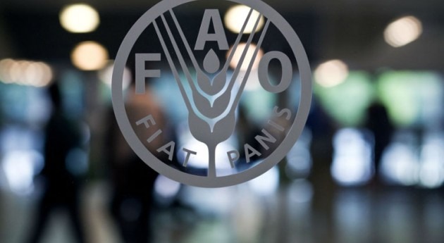 FAO y Consejo Mundial Agua refuerzan colaboración