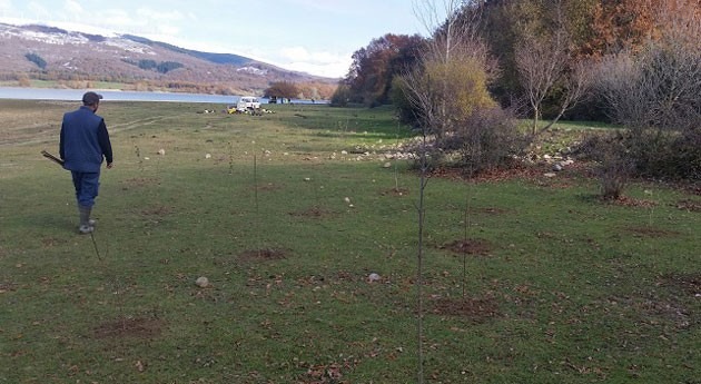 Álava planta 3.000 árboles embalse Ullibarri-Gamboa crear filtro natural agua