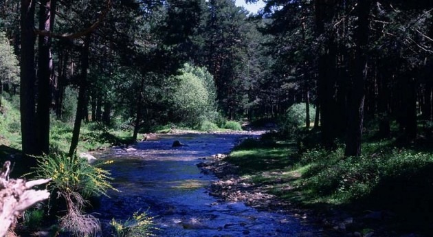 Reservas naturales fluviales y adaptación al cambio climático