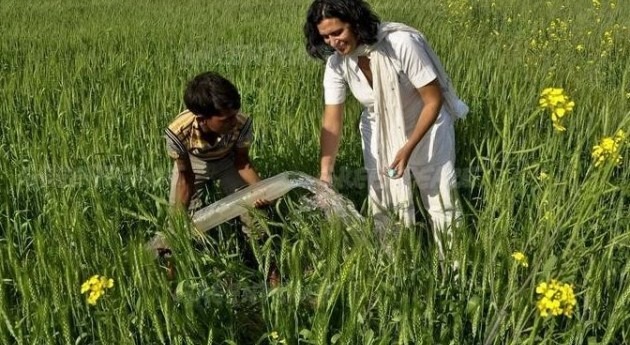 Greenpeace premia 30.000 euros mejor diseño riego ecológico India