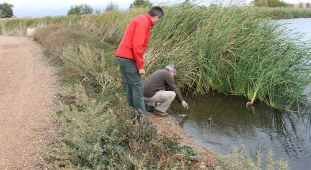 ¿Cómo mejorar calidad aguas Parque Nacional Tablas Daimiel?