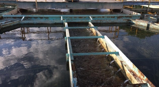 Organismos operadores agua potable: desafíos y oportunidades