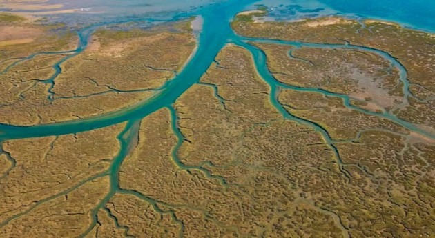 subida nivel mar aumentará flujo metales  océanos