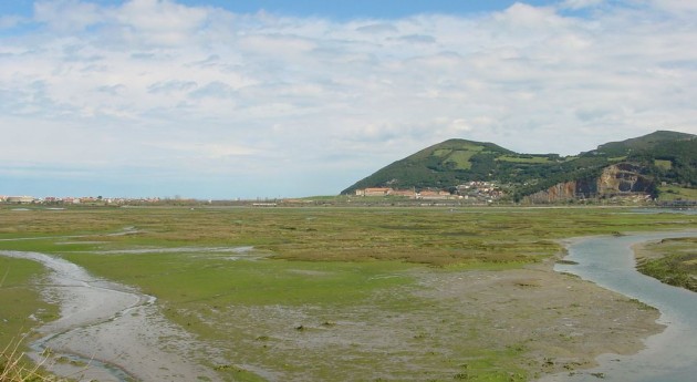 Marismas de Santoña (Wikipedia).