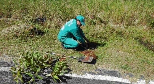 Paraguay niega devastación Parque Guasú construcción lagunas temporales