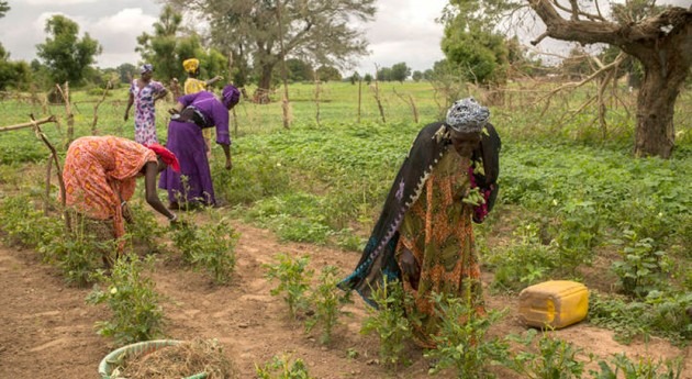 prácticas agrícolas resilientes desastres podrían beneficiar pequeños agricultores