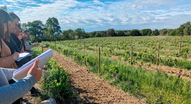 proyecto ViWaTec acerca al sector vitivinícola soluciones mejorar uso agua