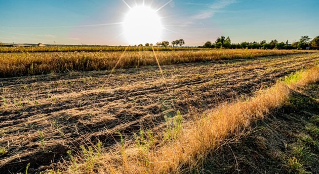 Confirman que verano 2022 fue más caluroso España últimos 700 años