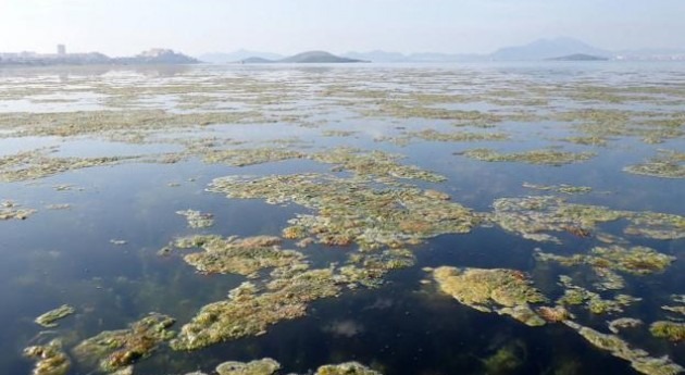¡ Mar Menor no puede esperar!