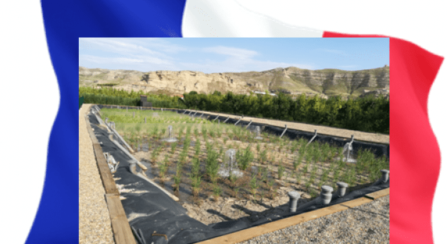 Tratamiento aguas residuales mediante humedales artificiales: Sistema Francés (I)