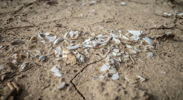 Gobierno Canarias propone cambios legislativos sequía, ellos Ley Aguas