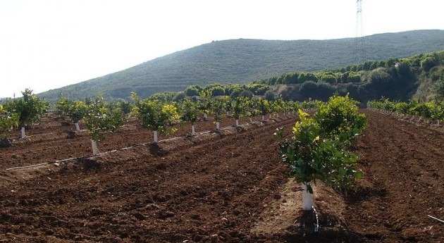 agricultores Malawi, Vietnam y Zambia buscan métodos inteligentes hacer frente al cambio climático