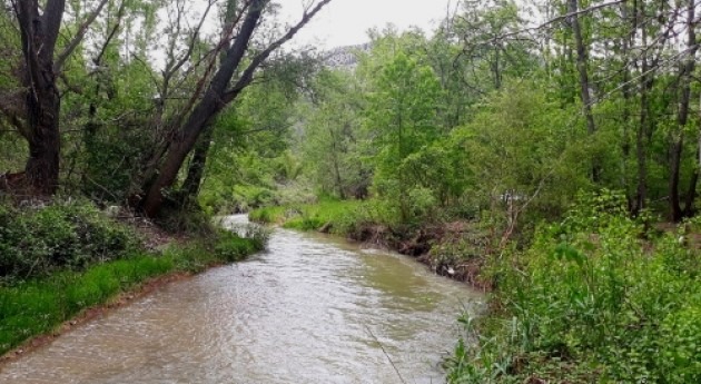 CHE finaliza actuación mejora capacidad desagüe río Martín, Montalbán (TE)