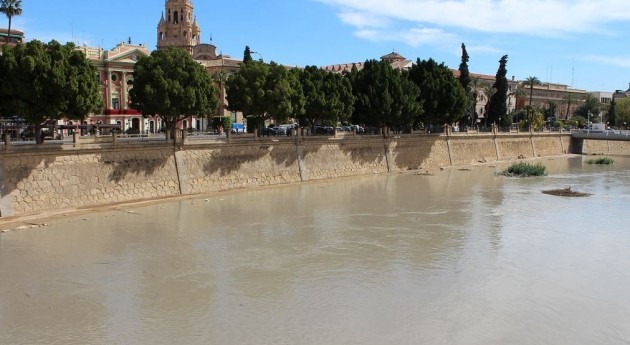 extracciones ilegales agua cuenca Segura dejan agua regantes, denuncia IU-Verdes