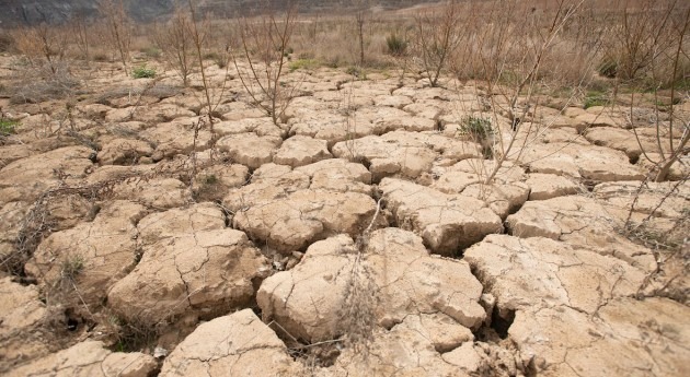 MAPA destina 252 M€ ayudas sequía que beneficiarán cerca 131.500 agricultores