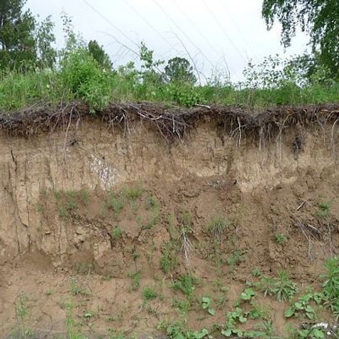 Baño seco, la oportunidad de cambiar la contaminación por el  enriquecimiento del suelo - Infocampo