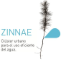 ZINNAE