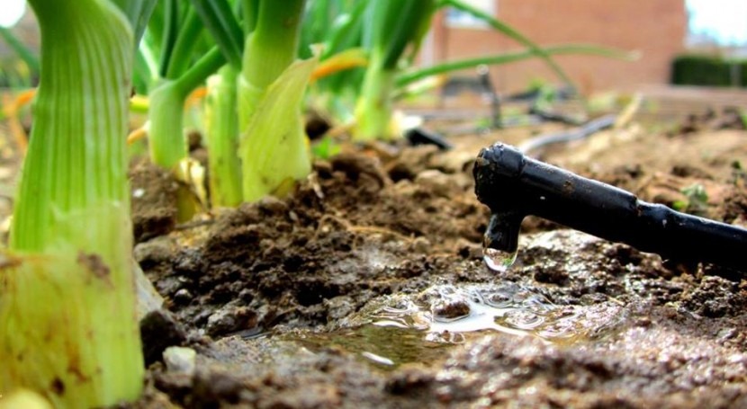 III edición concurso LEQUIA fotografía celebrar Día Mundial Agua