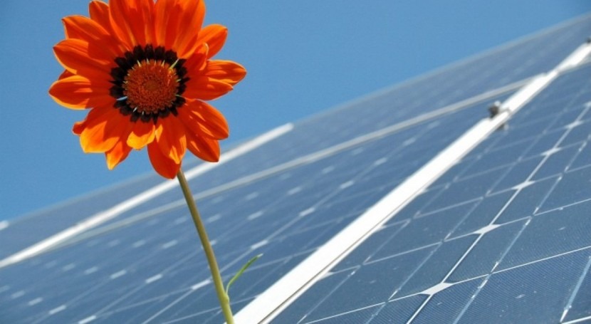 Creando futuro cero emisiones netas carbono