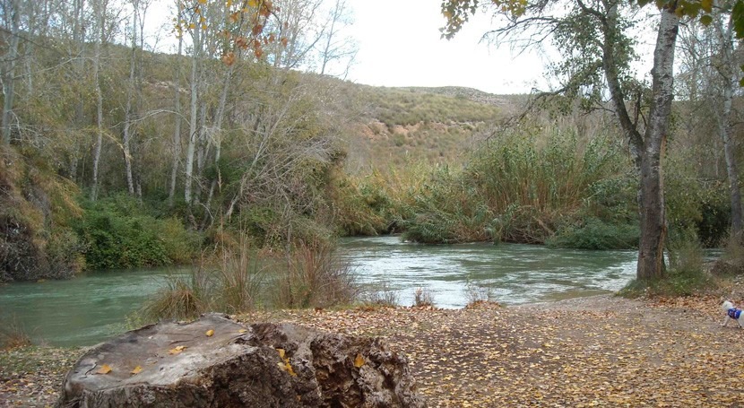 Voluntarios ambientales conocerán y recuperarán bosque ribera reserva Cañaverosa