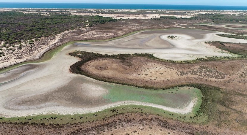 sequía y sobreexplotación acuíferos secan última laguna permanente Doñana