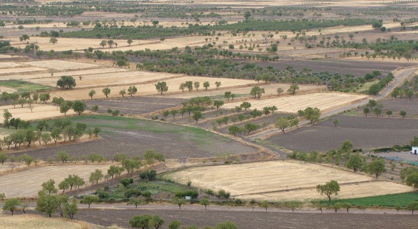 ¿Qué es agricultura secano?