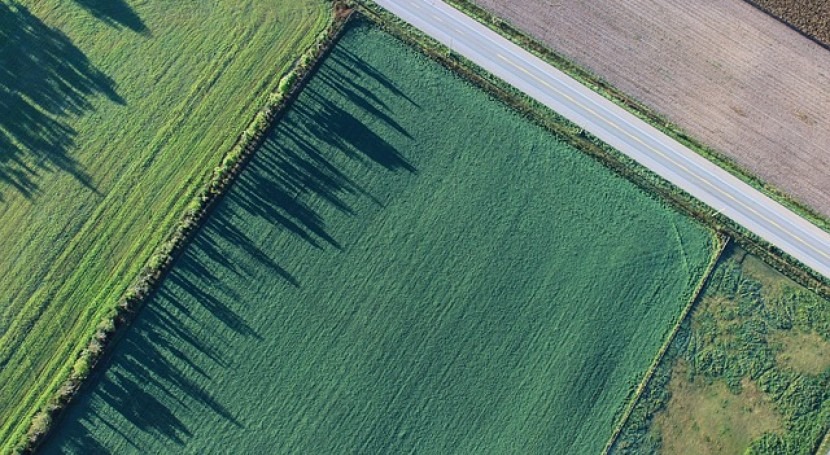 ¿Son futuro granjas verticales?
