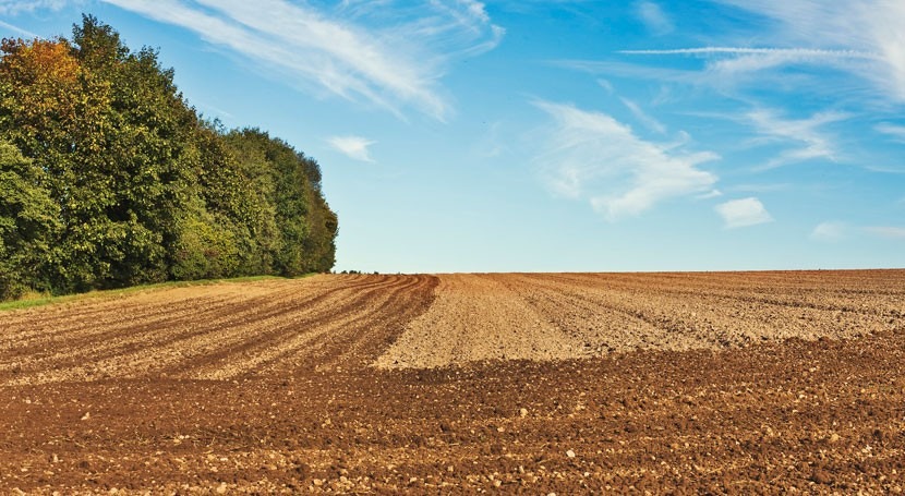 ¿Cómo influirá cambio climático agricultura europea 2030?