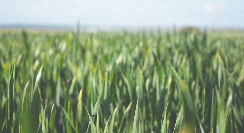 Andalucía, comprometida sector agrícola Andévalo Transfronterizo