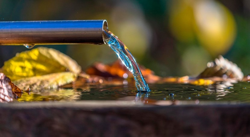 nuevo sensor mejora detección arsénico agua, alimentos y suelo