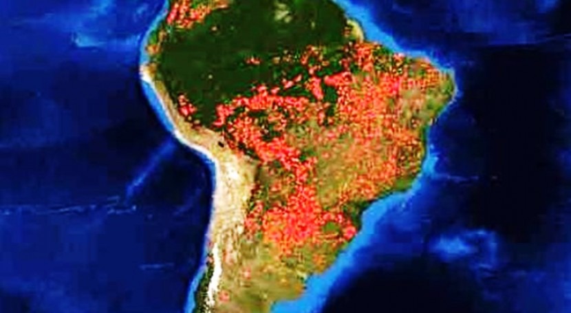 Incendio forestal Brasil y necesidad economía verde América Sur
