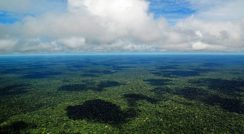 Incendios Amazonas: ¿ qué arde lugares más húmedos planeta?