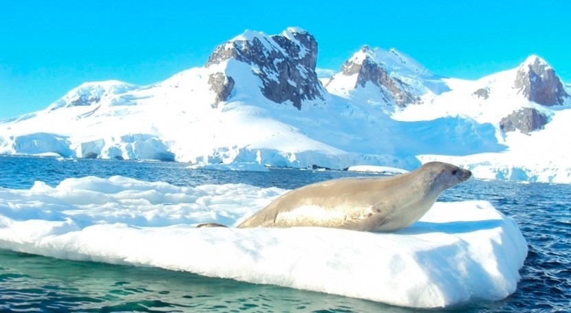 Argentina y Chile impulsan plan binacional proteger Antártica