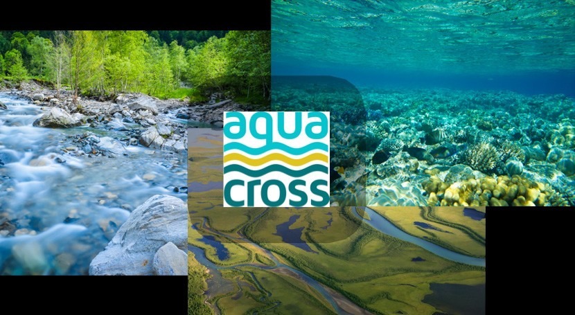 Gestión integrada ecosistemas acuáticos