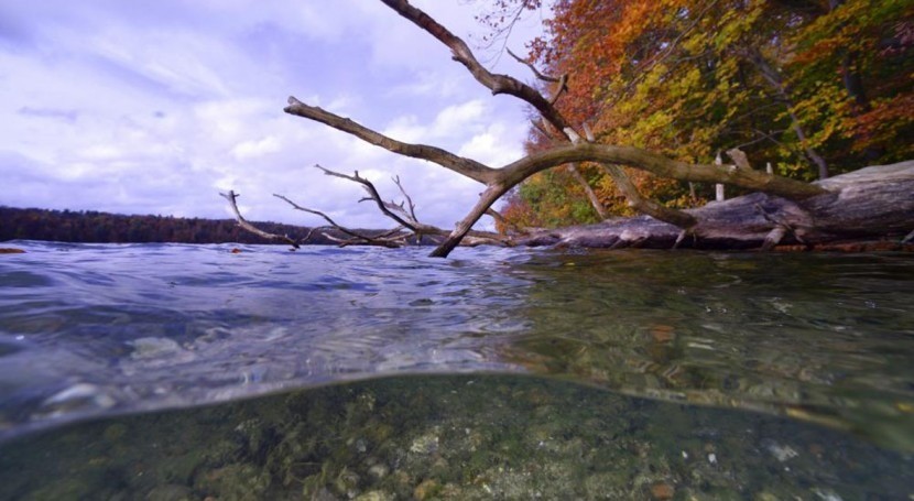 investigación y conservación biodiversidad agua dulce, prioridad investigadores