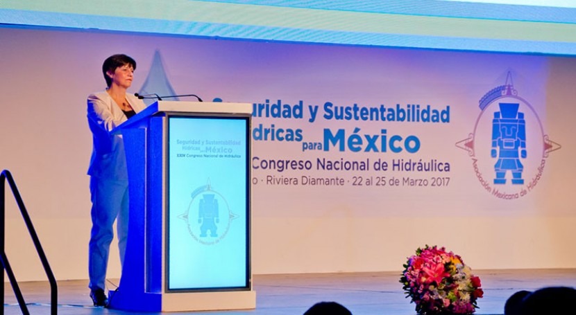 Seguridad y Sustentabilidad Hídricas México