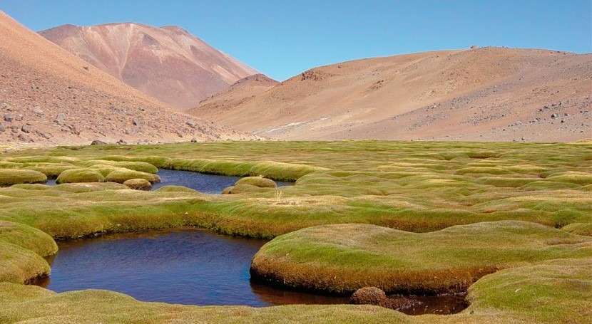 Chile podrá establecer caudal mínimo ecológico ecosistemas amenazados o degradados