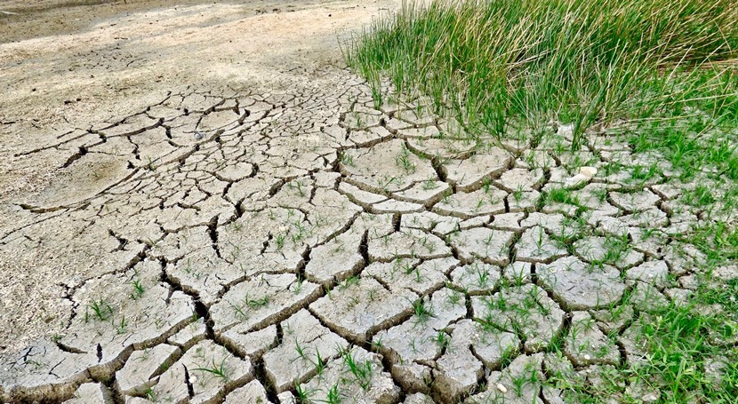 cambio climático y uso tierra aceleran erosión suelo agua