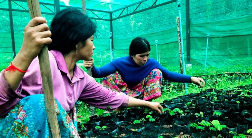 proyecto ONU Medio Ambiente alivia dependencia lluvia agricultura Camboya