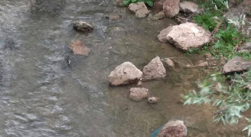 CHD investiga mortandad peces río Esgueva paso Valladolid