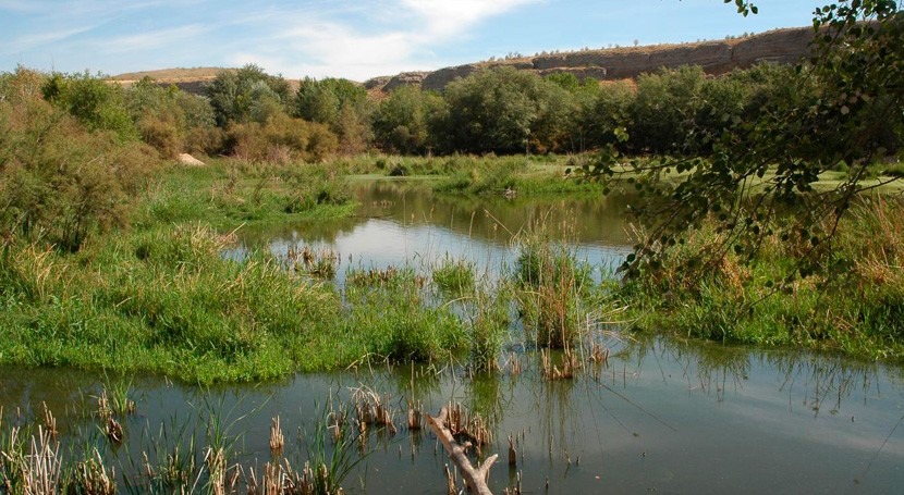 Comunidad Madrid apoya conservación humedales Plan Actuación 11 millones