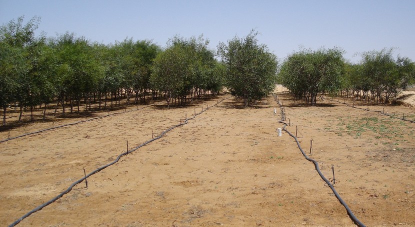 Desarrollan técnica innovadora predecir y comprender movimiento agua suelo