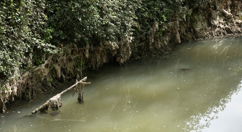 UA lidera proyecto mejorar procesos descontaminación agua consumo humano