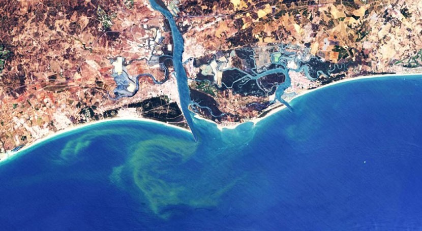 CSIC desarrolla metodología detectar y monitorizar floraciones algas nocivas